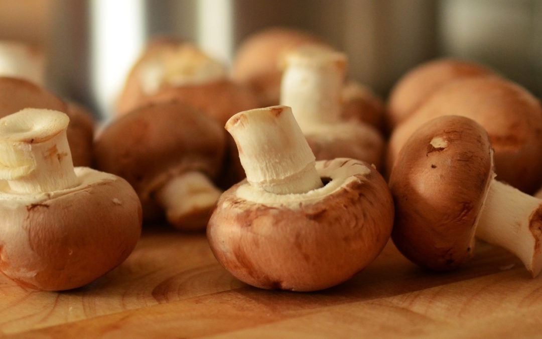 Pasta met kip en paddenstoelen