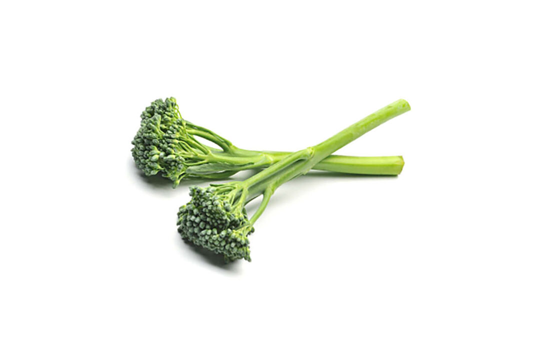 Broccolini-belorta