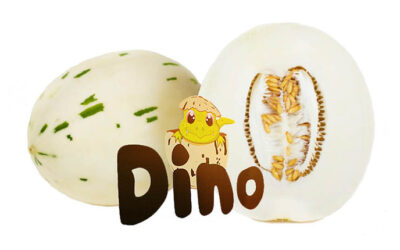 Mini Dino Meloen