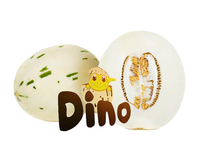 Mini Dino Meloen