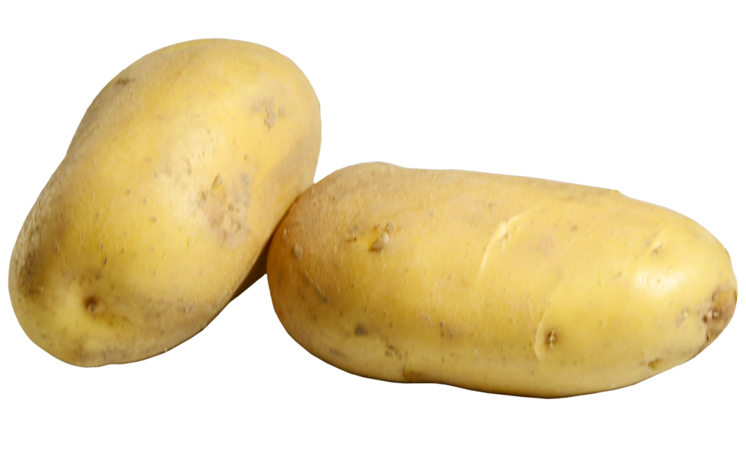 Aardappel