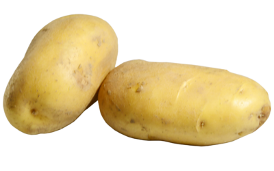 Aardappel